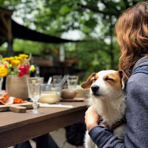 Treats for Happy Dogs