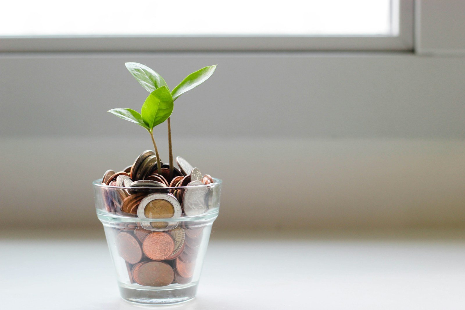 financial freedom