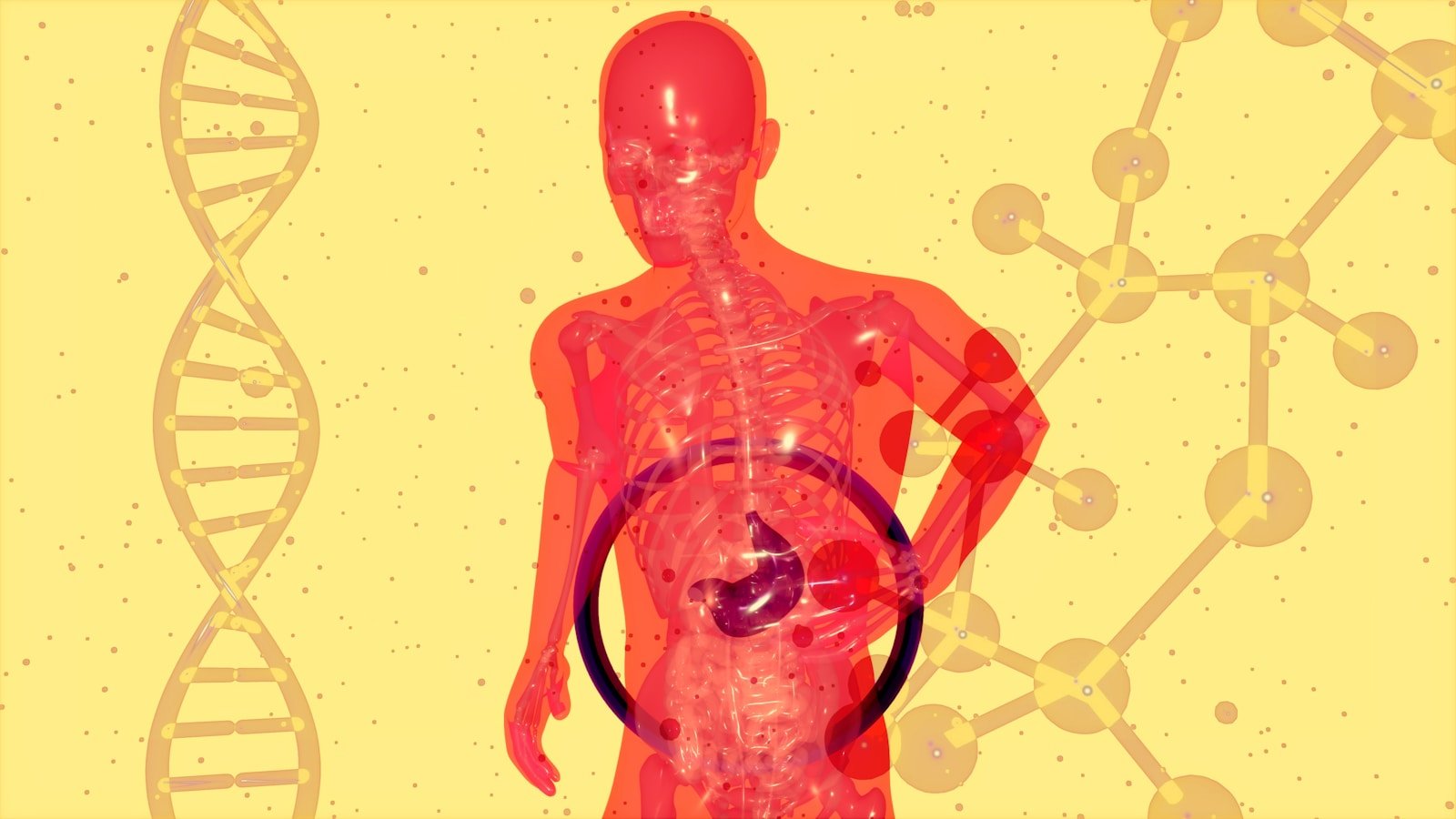 Gut Health