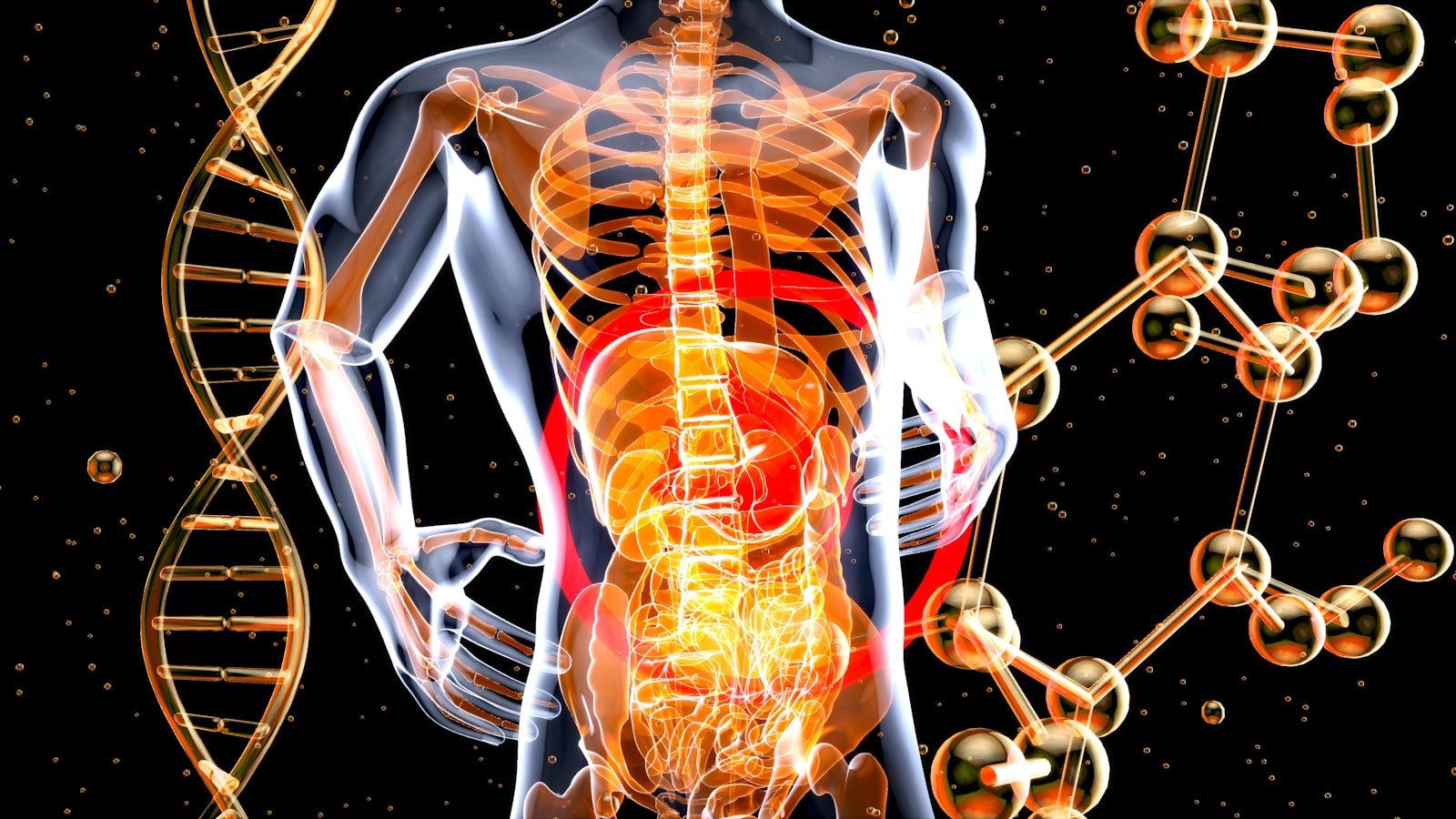 Gut Health